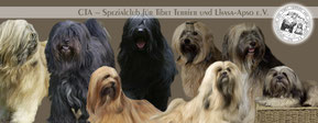Unser Verein /CTA