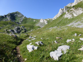 Le Col de Paü entre le Pic de Burcq et Cotdoguy