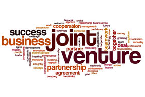 Interim Management - Joint Venture in Indien
