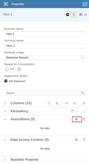 SAP Datasphere Properties of View