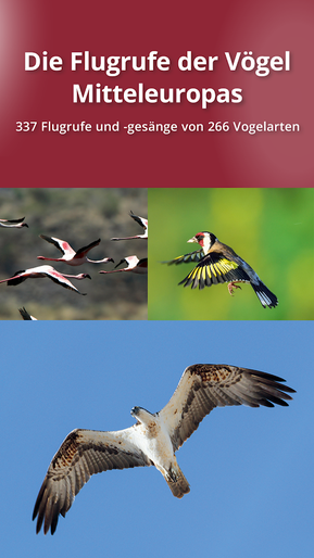 Die grosse Kosmos Vogelstimmen DVD