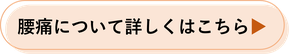 腰痛について詳しくはこちら