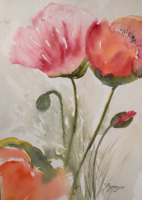 Aquarell, 18 × 26 cm ohne Passpartout