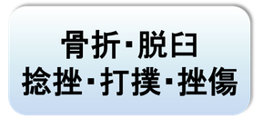 骨折・脱臼・捻挫・打撲・挫傷