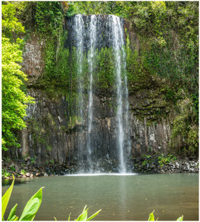 Millaa Millaa Falls, Atherton Tablelands, Cairns, North Queensland
