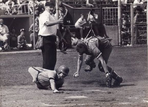 Nella foto l'umpire Enrico Spocci