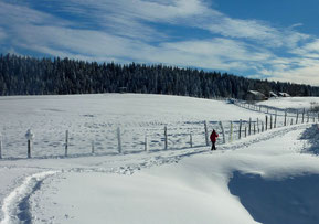 Crédit Photo : O.T. Haut-Jura Saint-Claude