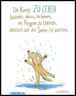 Es gibt kein schlechtes Wetter, nur schlechte Kleidung-seelenheil-Alpakas