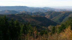 Schwarzwald, Mountainbike, Herbst