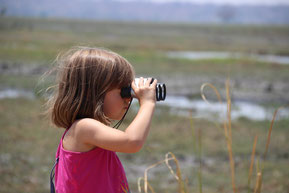 Etosha - Namibie