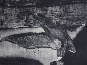 鳥と魚 / Birds and Fishies｜2022｜h.49.2 × w.66.1cm｜銅版画 / intaglio print, copperplate｜ed.8