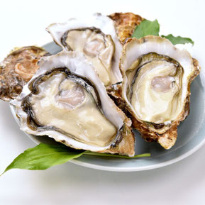 閃輝暗点を補うサプリメントは、牡蠣エキスがあります。