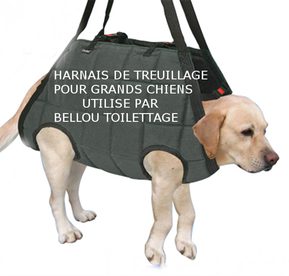 harnais de treuillage bellou toilettage