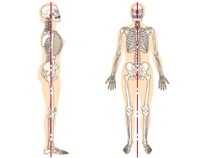 この歪みのない形のときに、腰痛、肩こり、頭痛などの不調が解消されます。