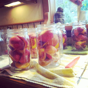 Preparation for the winter - canning peaches, something I learnt in Canada (photo was taken in Nelson BC in Sept 2014)