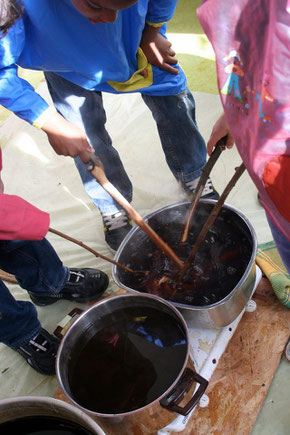 Atelier de teinture naturelle animé par des membres de Colore ton monde à l'école de la République à Bourg-la-Reine.