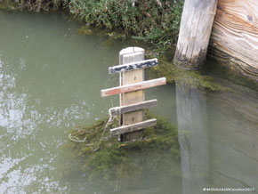 Echelle au niveau de l'eau permettant de mesurer la hauteur de la lame d'eau dans les canaux et les bassins.