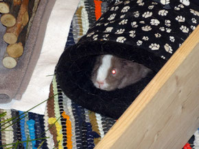 Wendi liebt Kuschelsachen