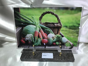 Jardinage 7 -208 €