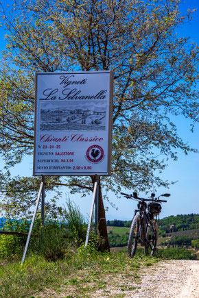 Chianti: le strade bianche del Gallo Nero