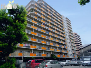 小阪ハイライフ