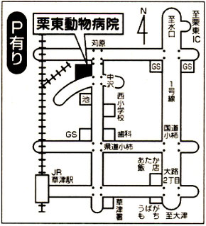 栗東動物病院 地図