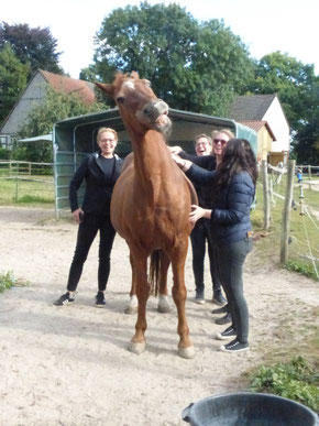 Große Kraul Geburtstagsparty für den 30 Jährigen Nyx <3
