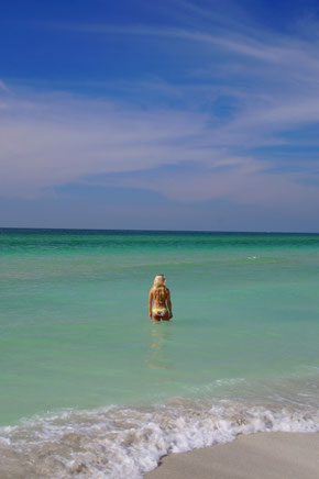 Anna Maria Island Coquina Beach Florida
