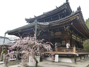 今熊野観音寺