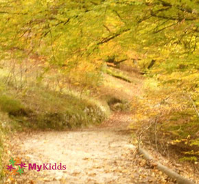 Herbstlicher Wanderweg oberhalb der Tropfsteinhöhle