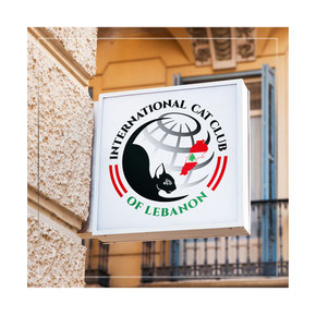 dizain logotipov ukraina; krasivie logotipy ukraina zakazat; razrabotka logotipov kiev ukraina; neobichnie logotipy kiev ukraina; elegantnie logotipy kiev ukraina; logotip mezhdunarodniy klub kotov koshek Livana; logo of International Cat Club of Lebanon;