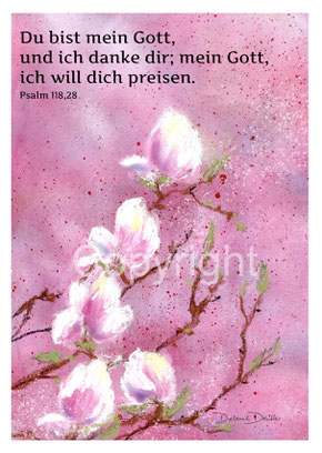 Magnolie rosa, Psalm 118,28 du bist mein Gott