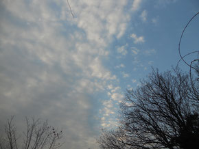 明日は雨の予報なので、晴れているうちに、と散歩に行ってきたのです。東の空（写真右側）は晴れ、西から曇り空が迫ってきます。