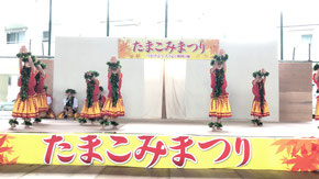 たまこみまつり
