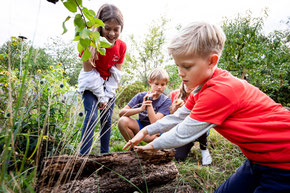 Kinder entdecken Frühlingsboten © NAJU | Jörg Farys