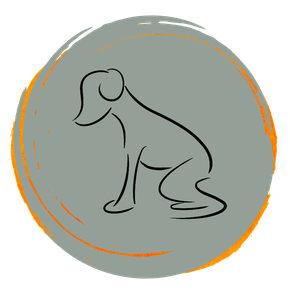 Modul 6_Konditionierungsformen