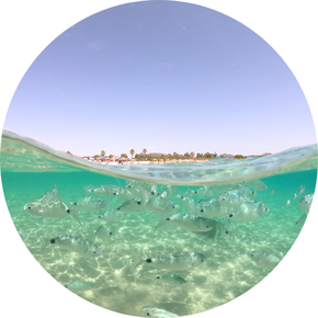 Meer und Fische, Nachhaltigkeit, Nachhaltig Urlaub machen in Kalabrien/Italien