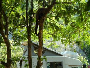 Parque Macchias