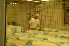 Fromagerie Réaux (où l'on fabrique le camembert).