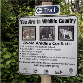 Vancouver Island, Ucluelet, Wild Pacific Trail, Wildlife Vancouver Island