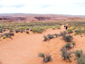 Am Horseshoe Bend