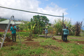 Framework for growing 'Ipu gourds Amy Greenwell Garden