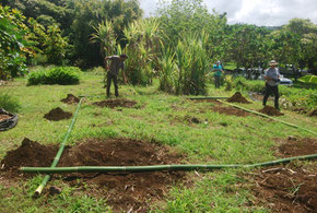 Framework for growing 'Ipu gourds Amy Greenwell Garden