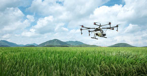 Drone agricole