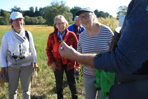 Gerd Bauschmann zeigt den Teilnehmern eine Sumpfschrecke