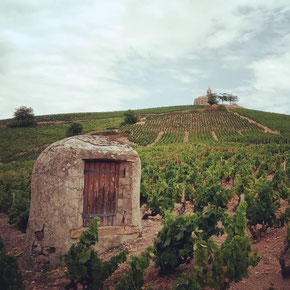 Fleurie : le coteau de la Madone et sa chapelle