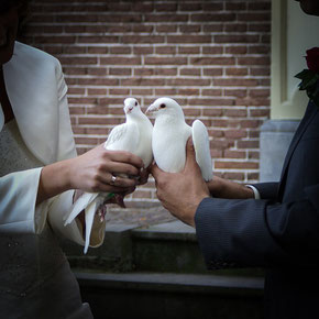 Glücksymbol Hochzeitstauben