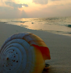 Hard to beat sunsets on Dharavandhoo island in the Maldives. Dante Harker