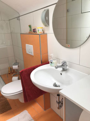 Badezimmerrenovierung vorher-nachher