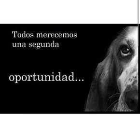 Pinche en el cartel.